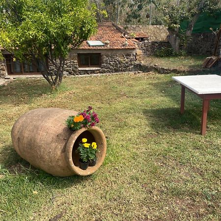 טקורונטה Rural House To Take A Break, La Serreria 25 - Private Garden מראה חיצוני תמונה