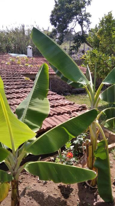 טקורונטה Rural House To Take A Break, La Serreria 25 - Private Garden מראה חיצוני תמונה