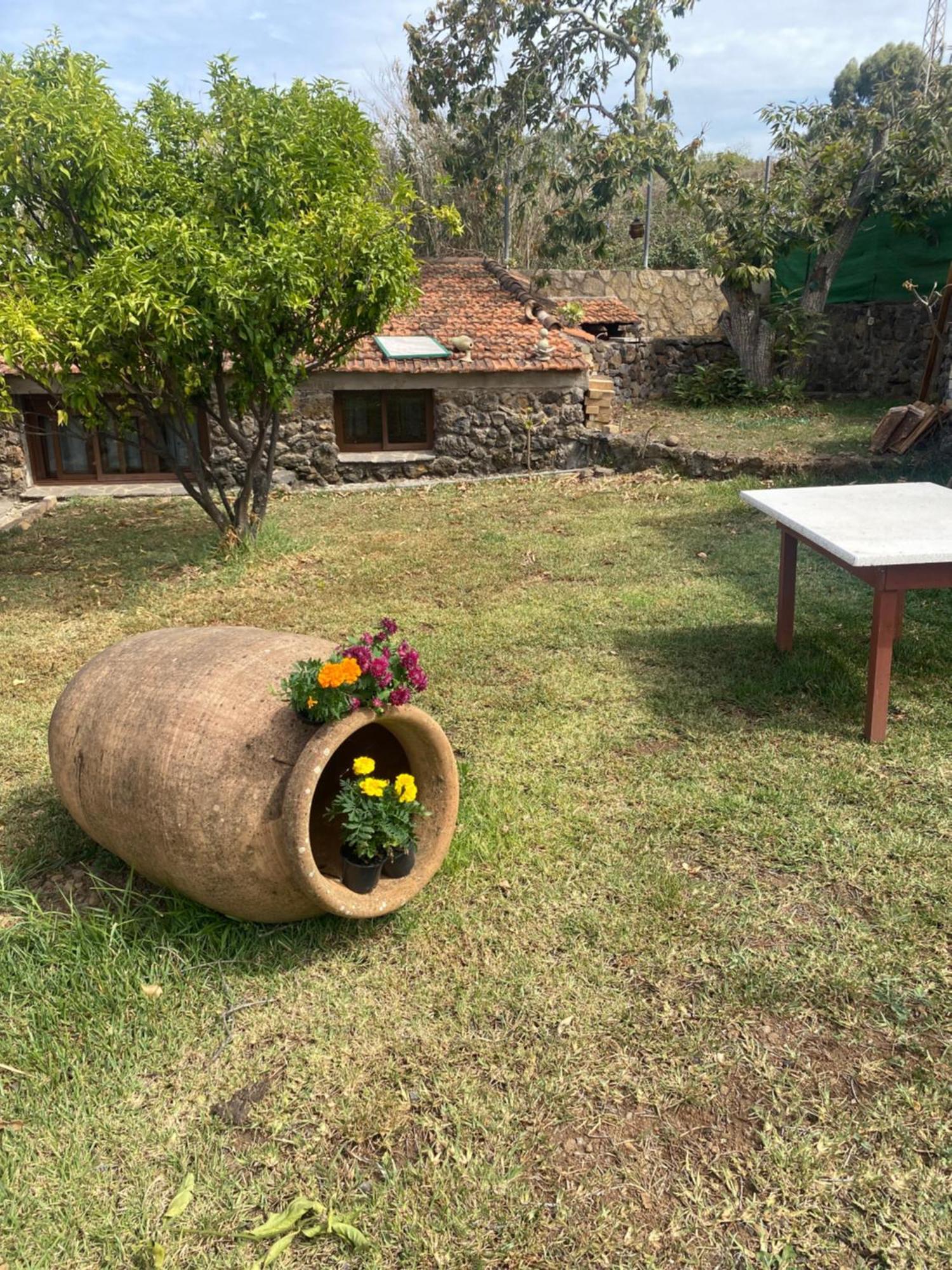 טקורונטה Rural House To Take A Break, La Serreria 25 - Private Garden מראה חיצוני תמונה