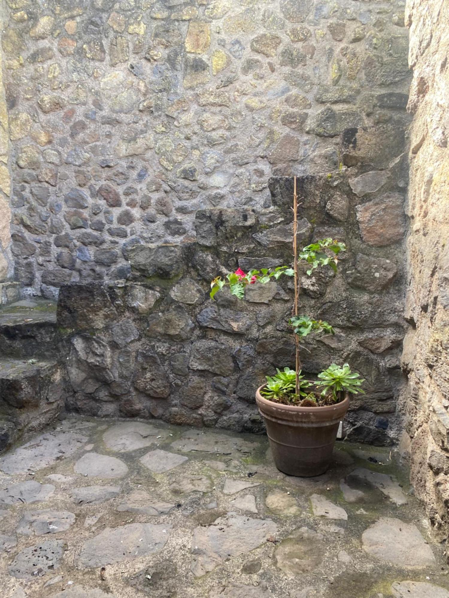 טקורונטה Rural House To Take A Break, La Serreria 25 - Private Garden מראה חיצוני תמונה