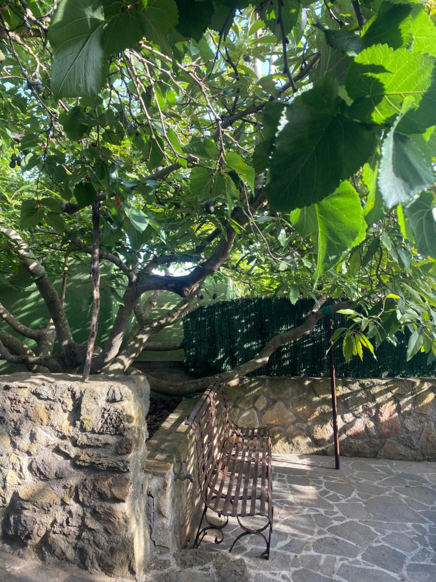 טקורונטה Rural House To Take A Break, La Serreria 25 - Private Garden מראה חיצוני תמונה
